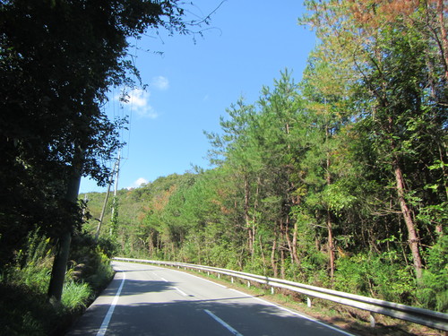a0251786_15324630.jpg