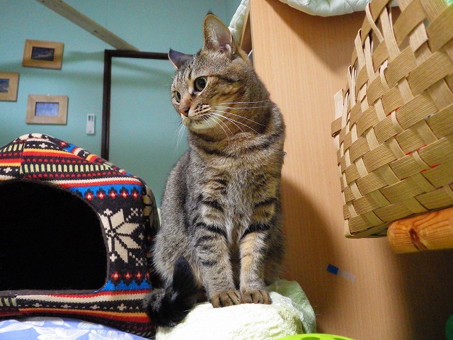 a0159490_1205061.jpg