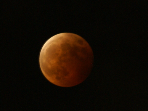 e0271890_21351730.png