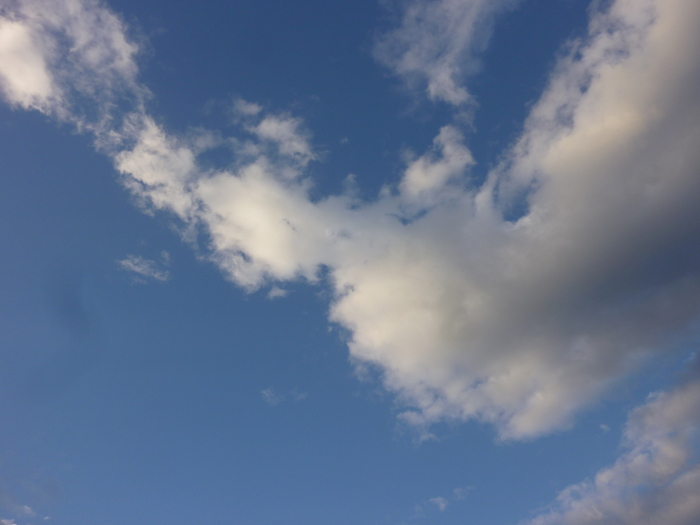 d0333091_21142015.jpg