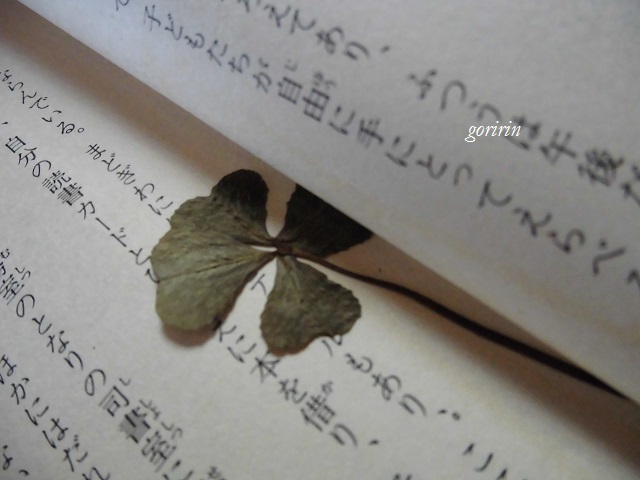 f0202291_1229596.jpg