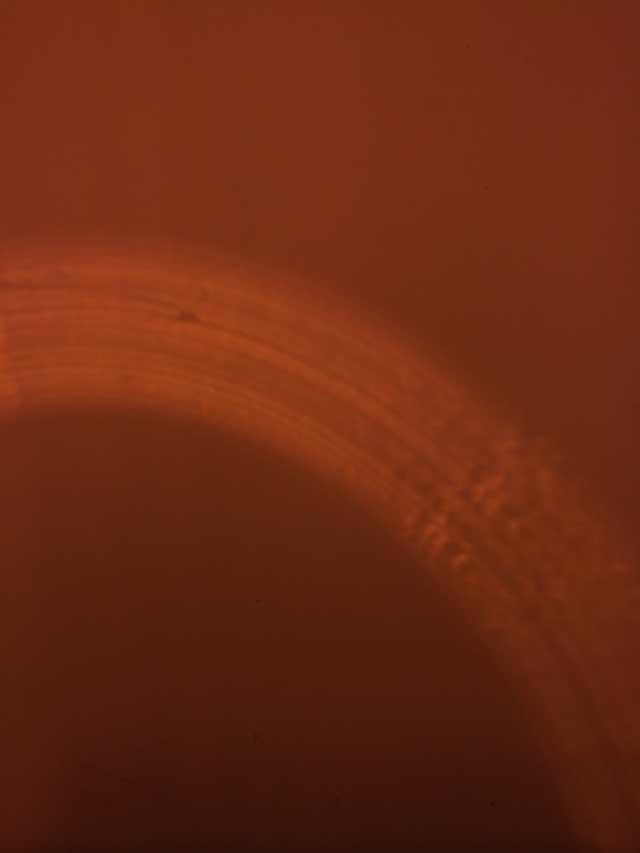 f0238991_713282.jpg