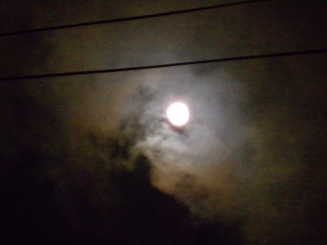 a0199297_2345926.jpg