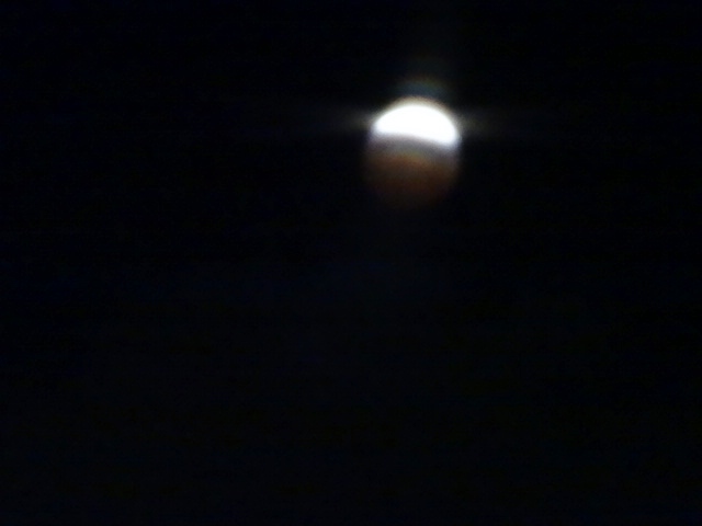 a0075800_11155966.jpg