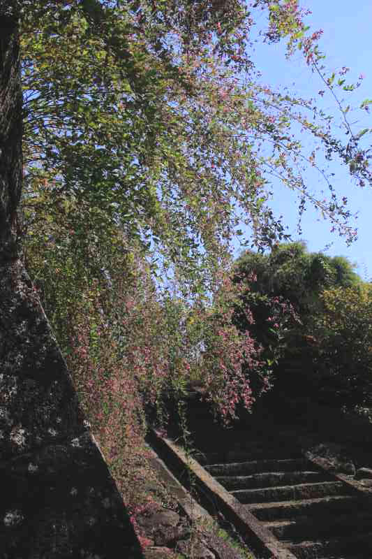 a0188405_07434007.jpg