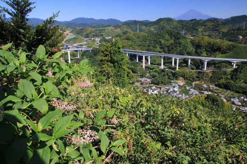 a0188405_08224856.jpg