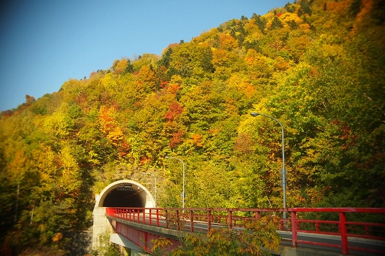 c0202705_12583234.jpg