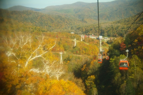 c0202705_12584510.jpg