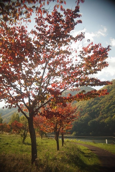 c0202705_1259623.jpg