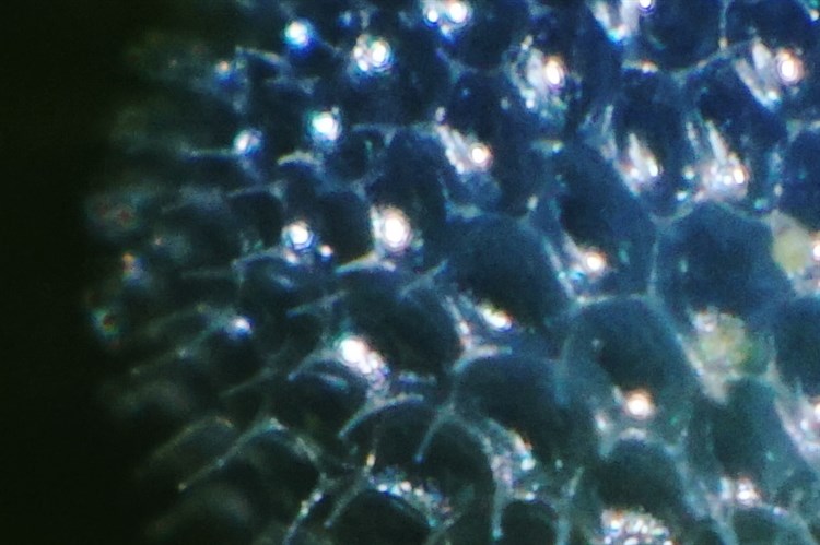 d0272107_13453975.jpg