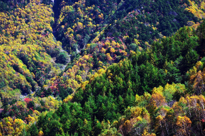 a0263109_1262011.jpg