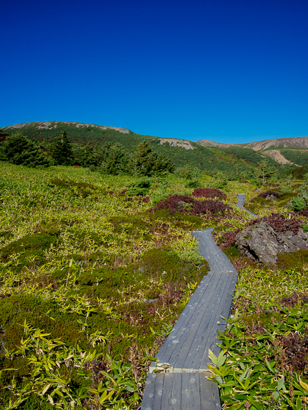 b0244811_10214513.jpg