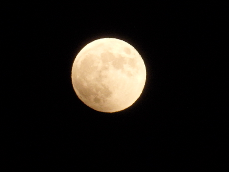 f0250515_107532.jpg