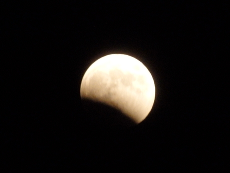 f0250515_1081225.jpg