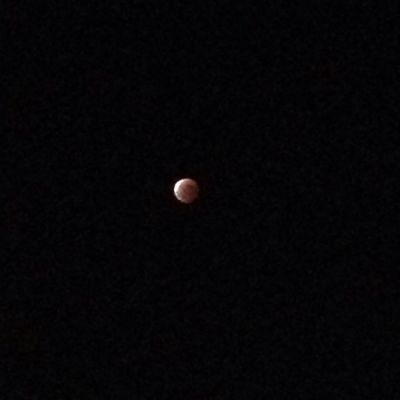 b0206831_7245810.jpg