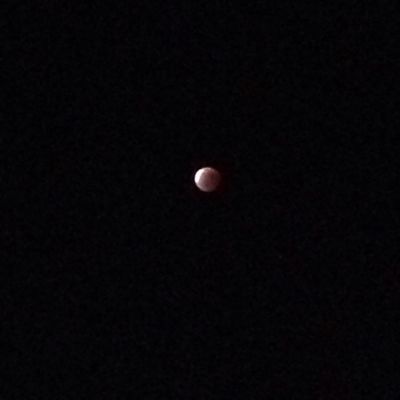 b0206831_7245936.jpg