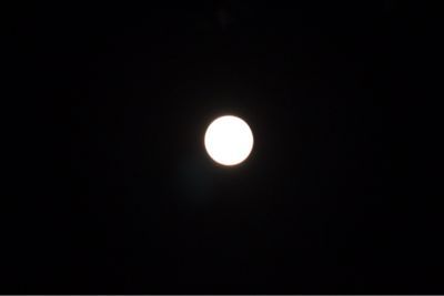 b0206831_725631.jpg
