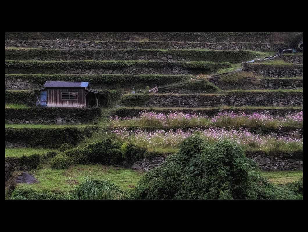 d0004832_18225790.jpg