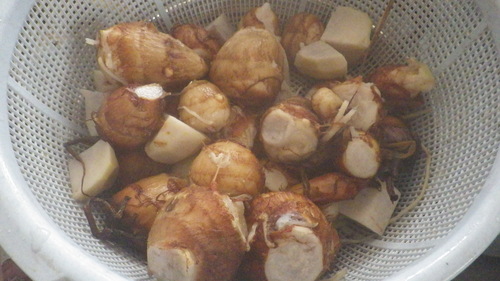 c0300035_1126121.jpg