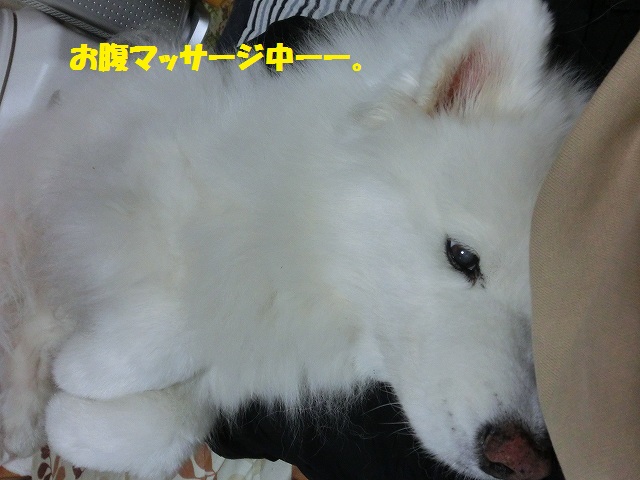 e0196135_103556.jpg