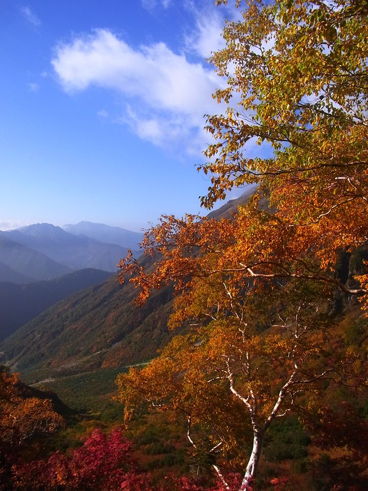 c0158636_033275.jpg
