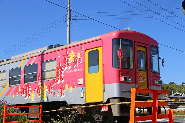 a0242438_19365643.jpg