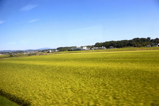 a0242438_19383896.jpg