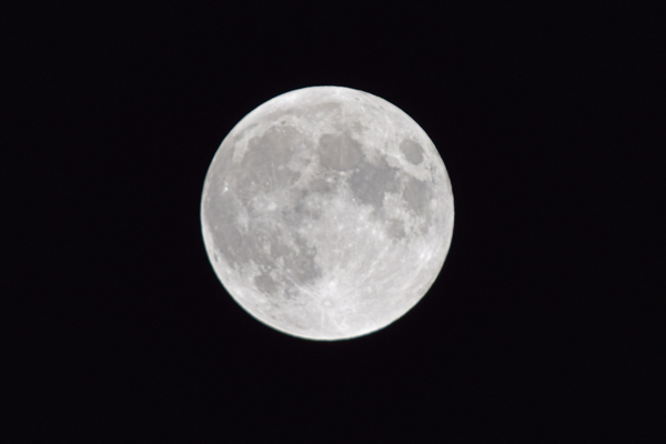 b0088340_15441.jpg