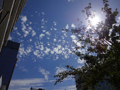 f0141840_01214819.jpg