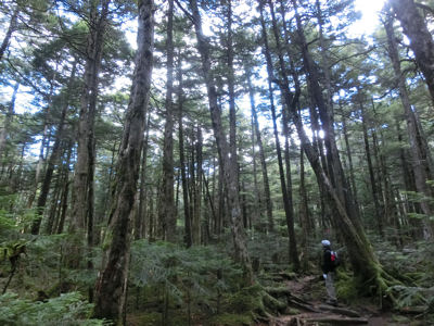 f0019247_0385194.jpg