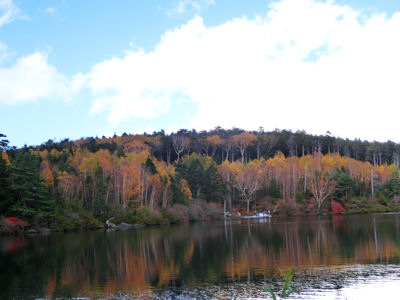 f0019247_0453650.jpg
