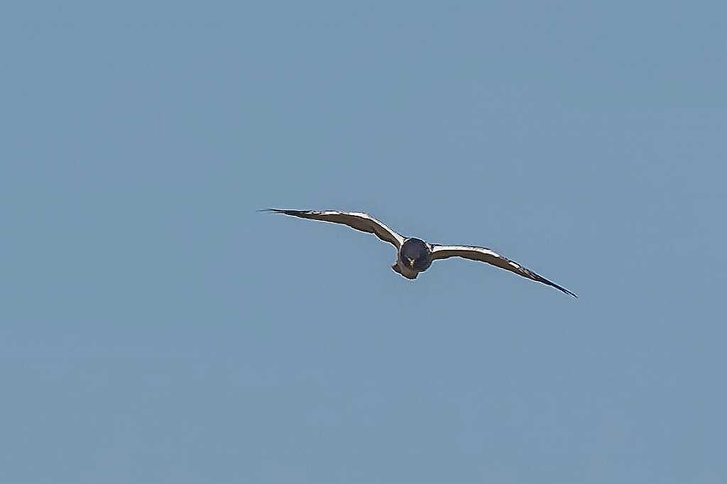 f0044056_08395153.jpg