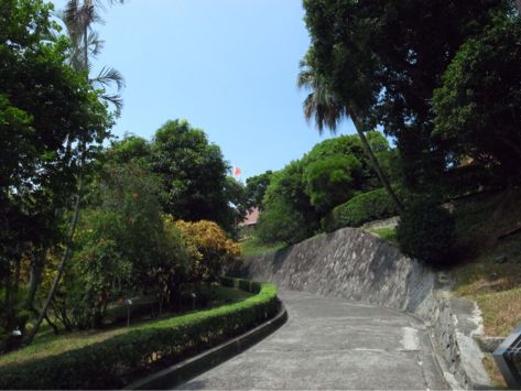 f0149057_1350968.jpg