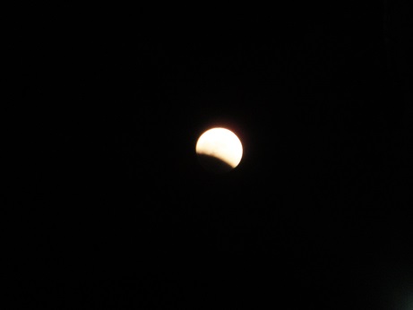 f0113862_9483437.jpg