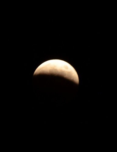 c0186463_17313720.jpg