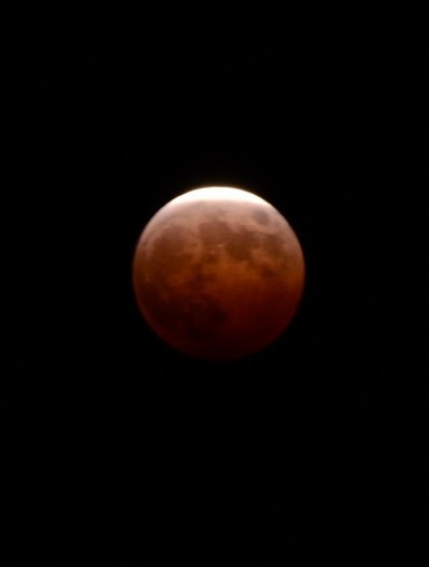 c0186463_17324519.jpg