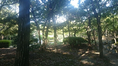 b0315366_16212166.jpg