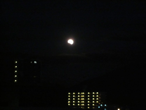 c0309870_15545506.jpg