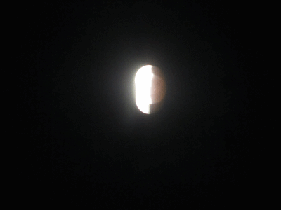 b0149071_164166.gif