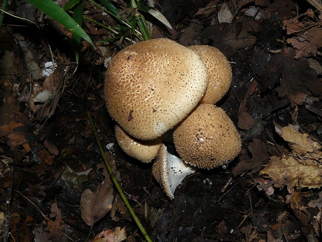 d0019074_9224788.jpg