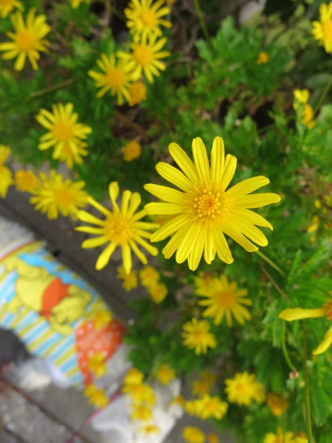 d0264176_19184289.jpg