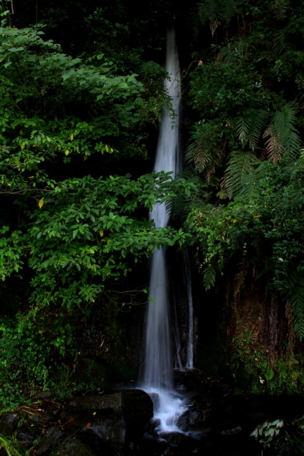 d0126577_2062488.jpg