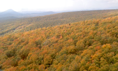 c0069380_1331377.jpg