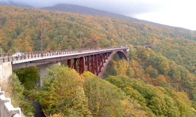 c0069380_13336100.jpg