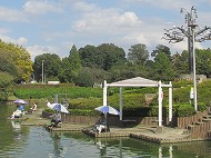 a0142083_11325284.jpg