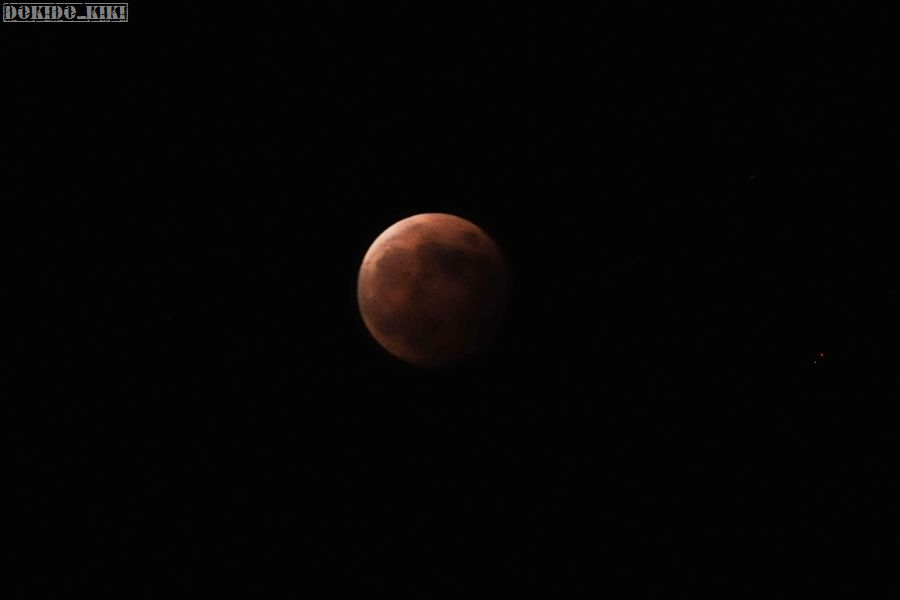 c0220084_0134611.jpg