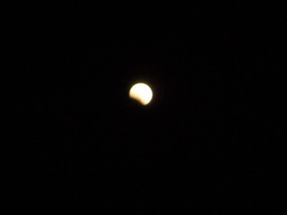 e0148889_6145033.jpg