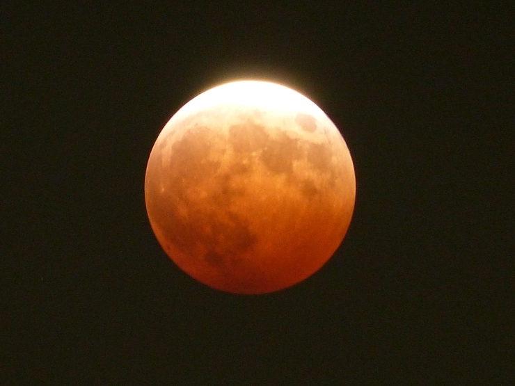 c0324393_1353782.jpg