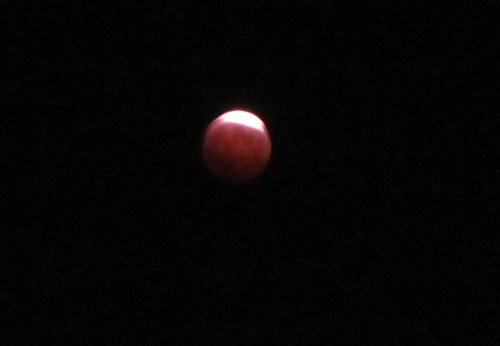 b0348195_14591481.jpg