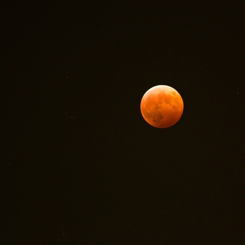 a0285596_3362568.jpg